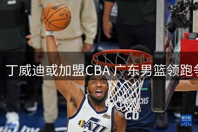 丁威迪或加盟CBA 广东男篮领跑争夺战