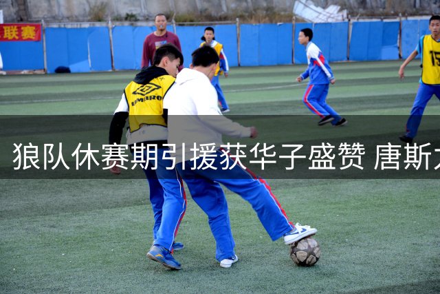 狼队休赛期引援获华子盛赞 唐斯力促成关键交易